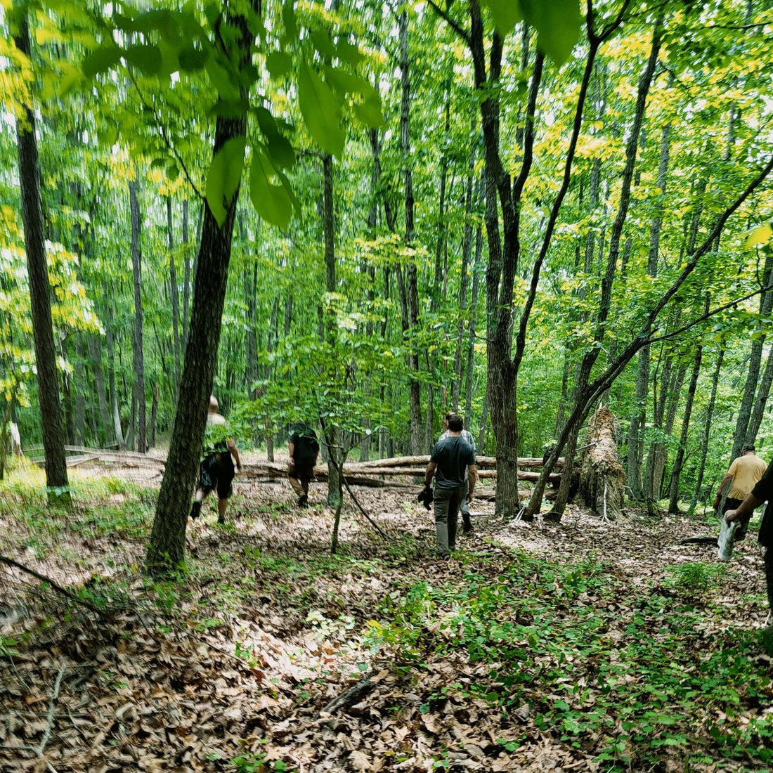 The Survival Priorities - Gray Bearded Green Beret