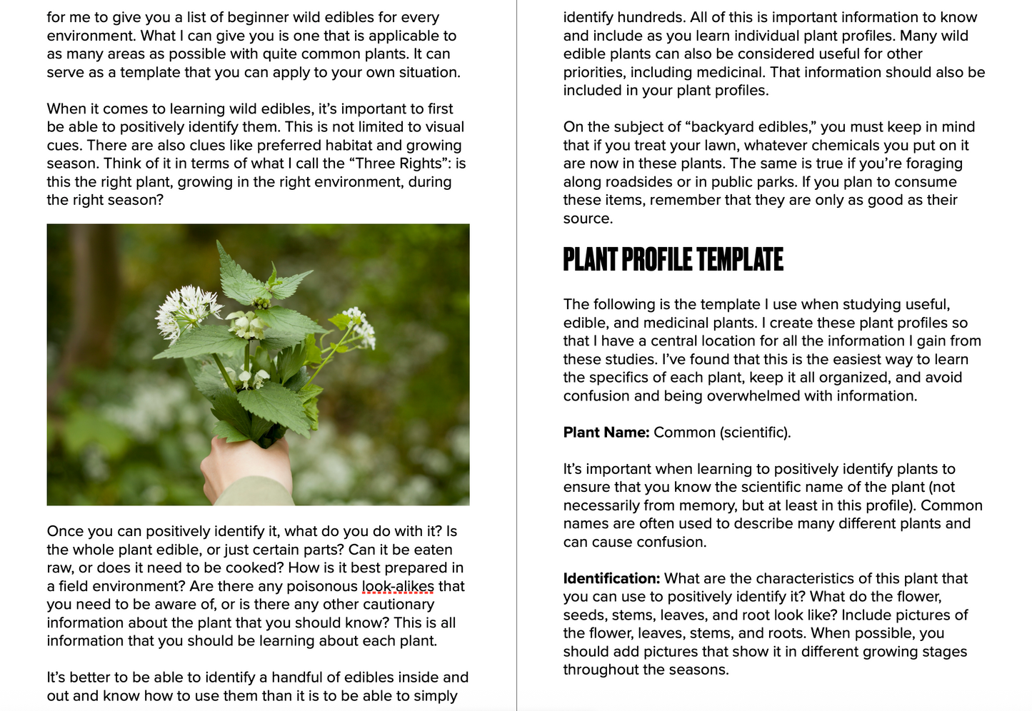 Plant profile template with a plant image on a white background