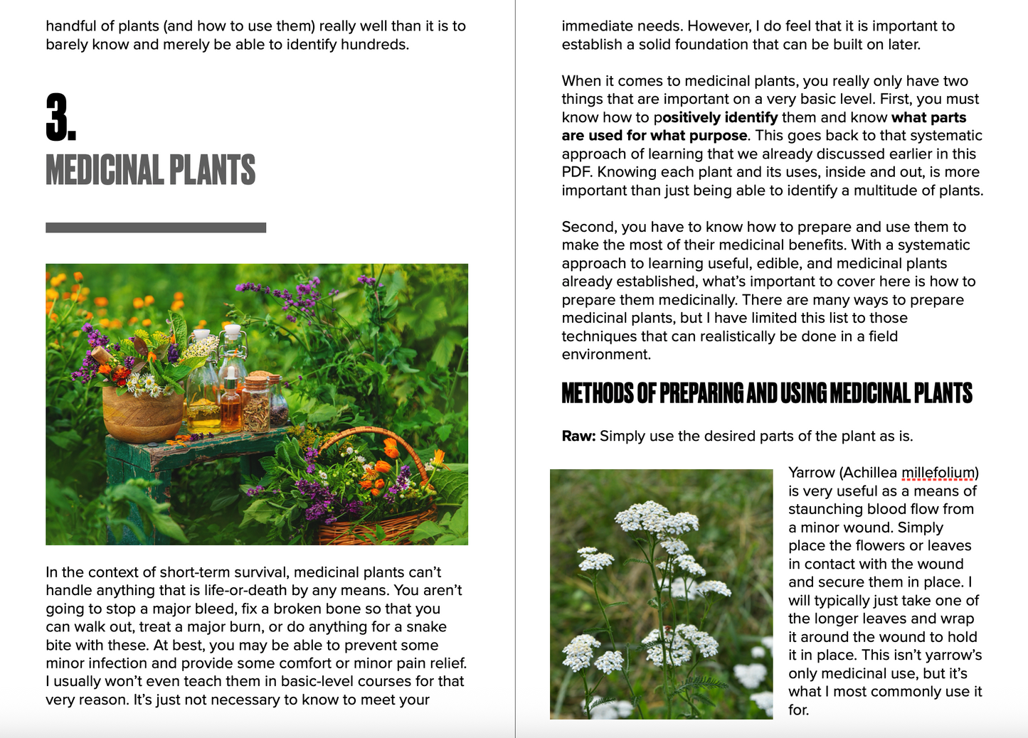 Page from a book or magazine about medicinal plants with text and images of plants.