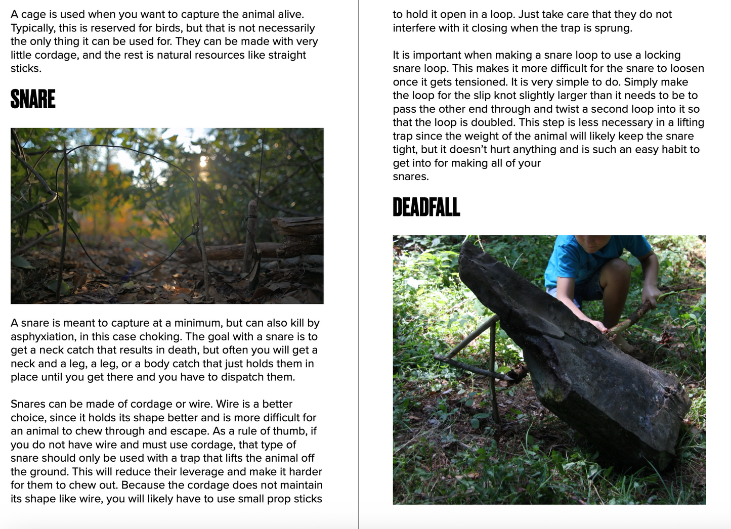 Educational text on different types of animal traps with images and descriptions.