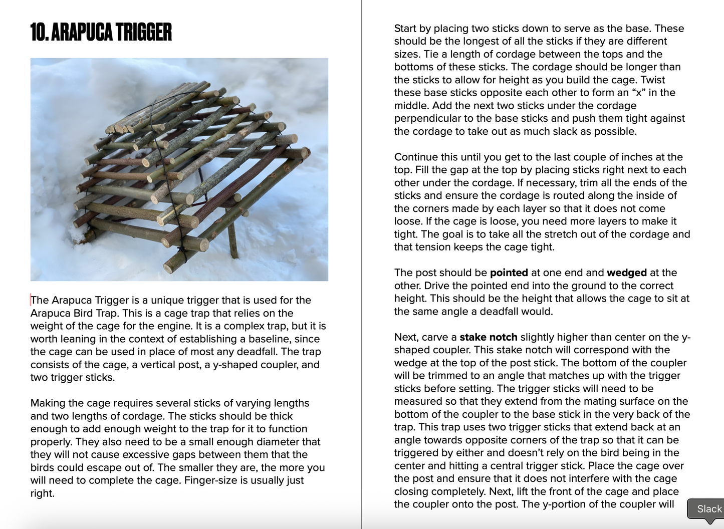 Instructions for setting up an Arapuca trigger bird trap with text and a diagram.