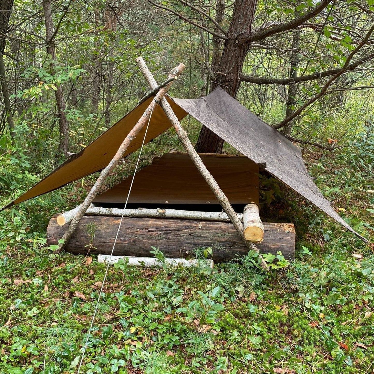 Bushcraft Skills Course - Gray Bearded Green Beret Survival School - Raised Bed with Bed Sleeve and Tentsmiths Oilskin Tarp in an A-frame Tarp Shelter