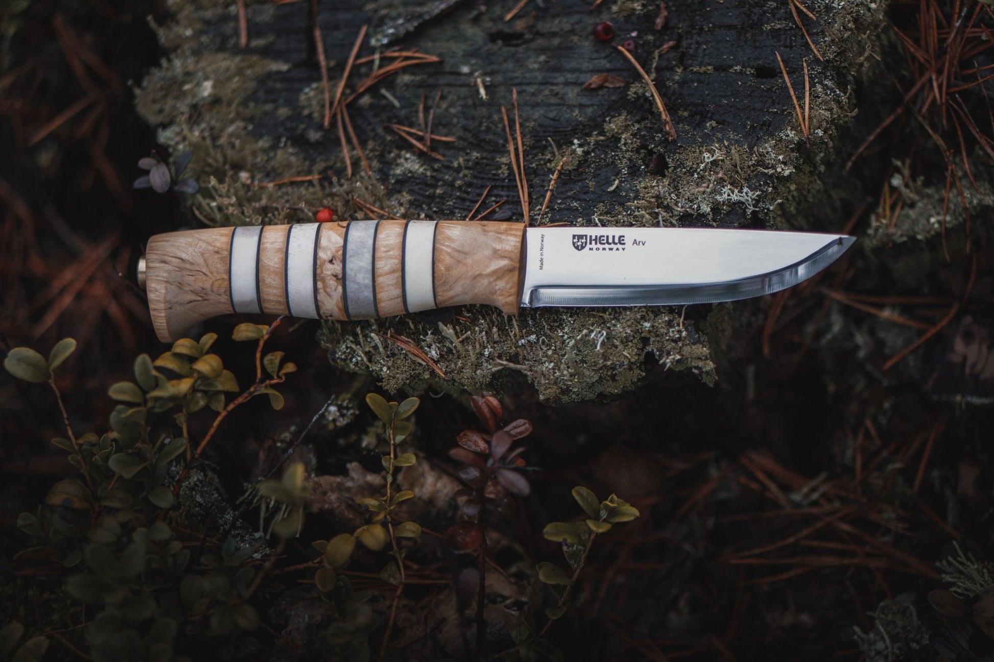 Helle Arv Fixed Blade Knife on Stump