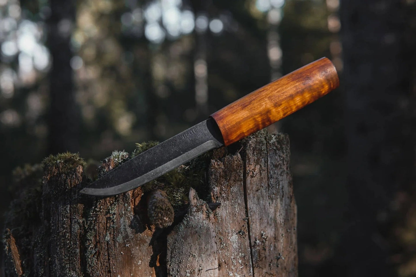 Helle Viking Fixed Blade Knife on stump