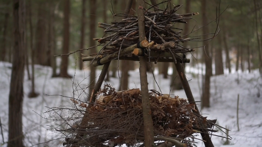 Tripod signal fire structure loaded with wood in a snowy winter forest — wilderness survival signaling