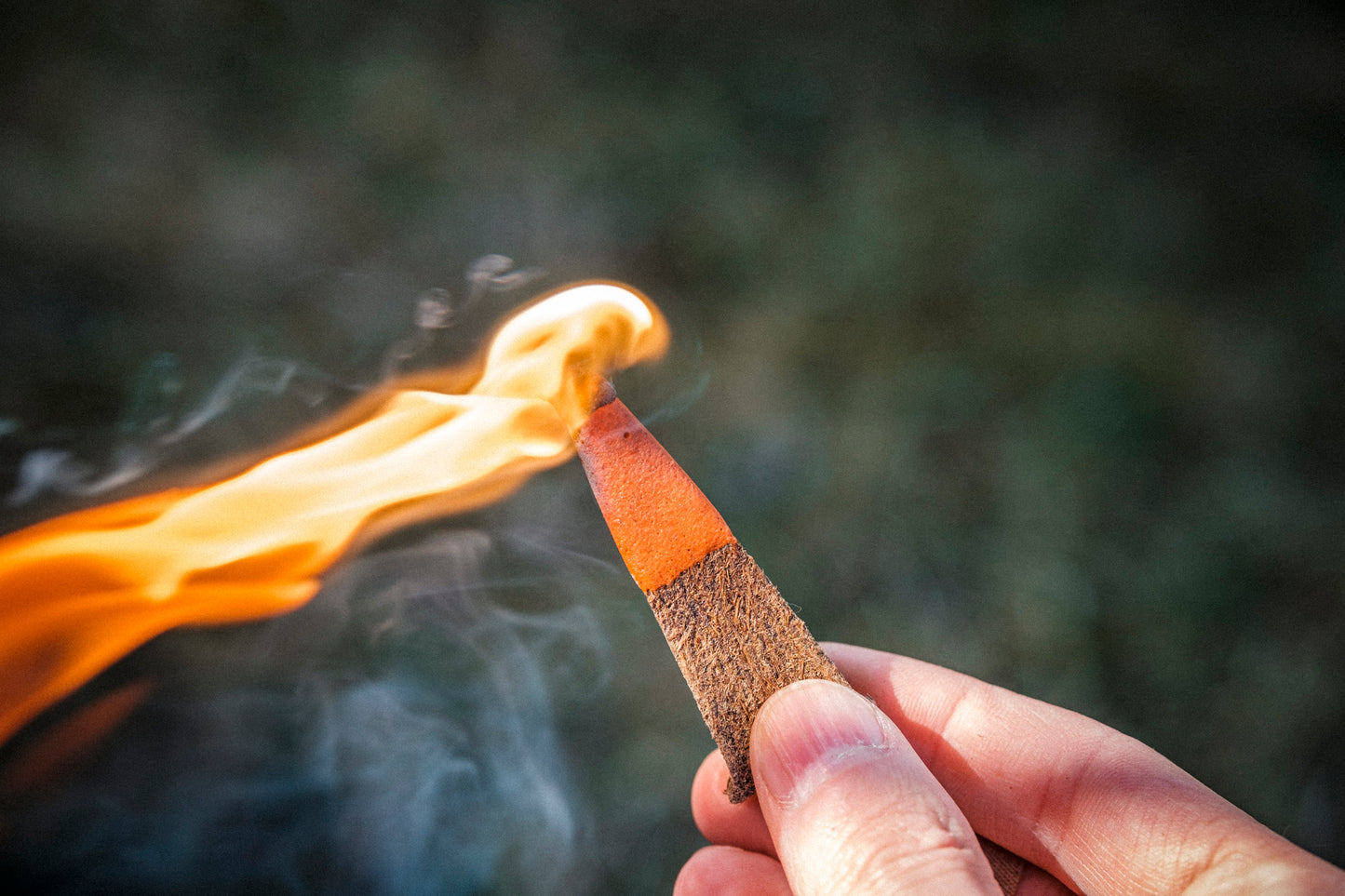 Stormproof Sweetfire (8-pack)