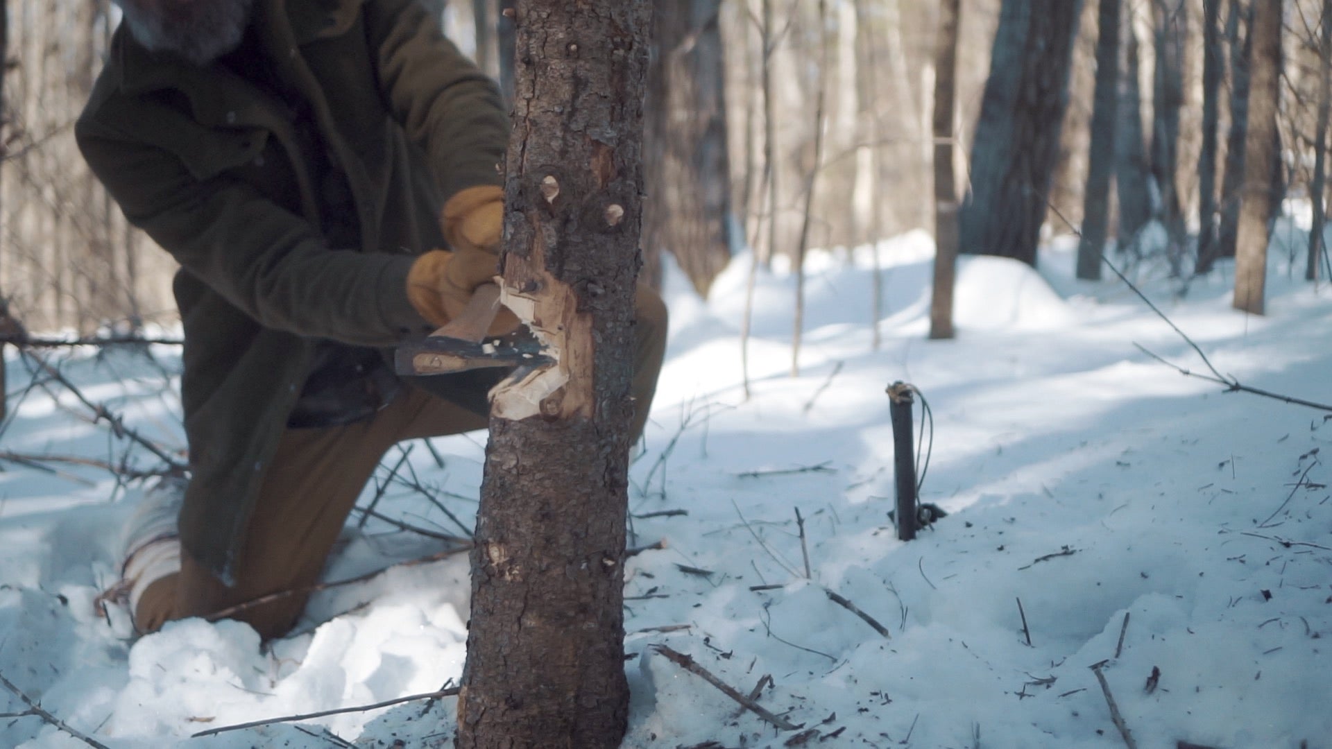 Into the Winter: Cold Weather Skills (USB Thumb Drive) - Gray Bearded Green Beret