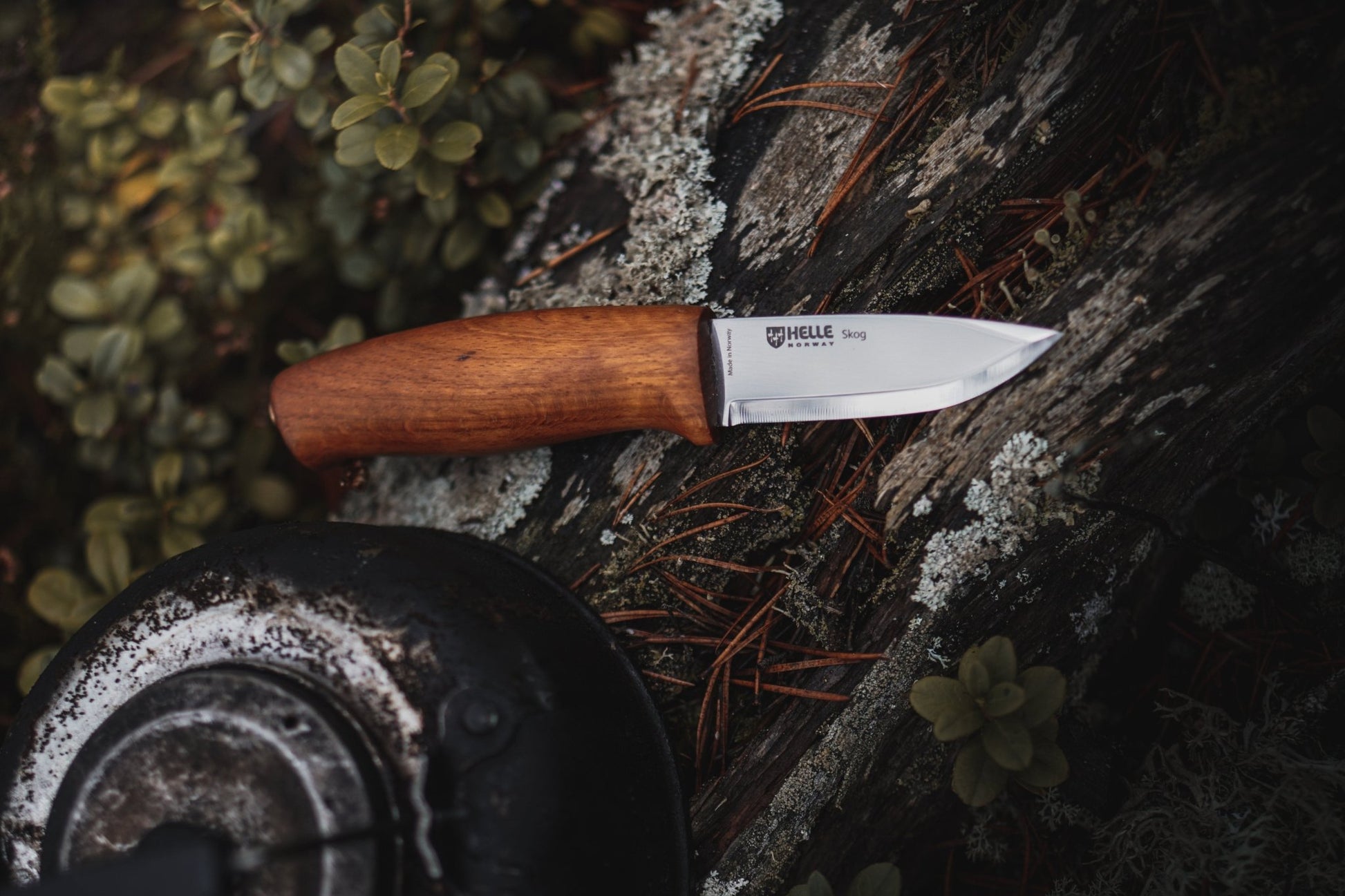 Helle Skog Fixed Blade Carving Knife on log