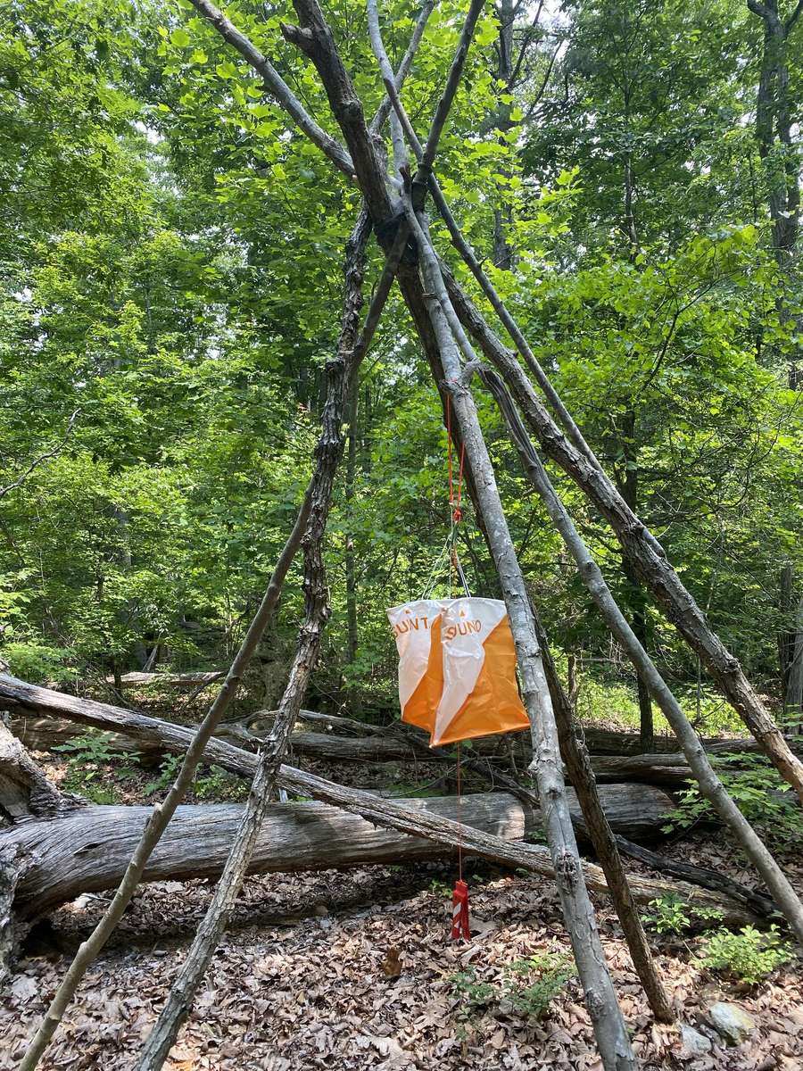 Master Navigator Land Navigation Course — Gray Bearded Green Beret Survival School Orienteering Course Marker Flag in Forest