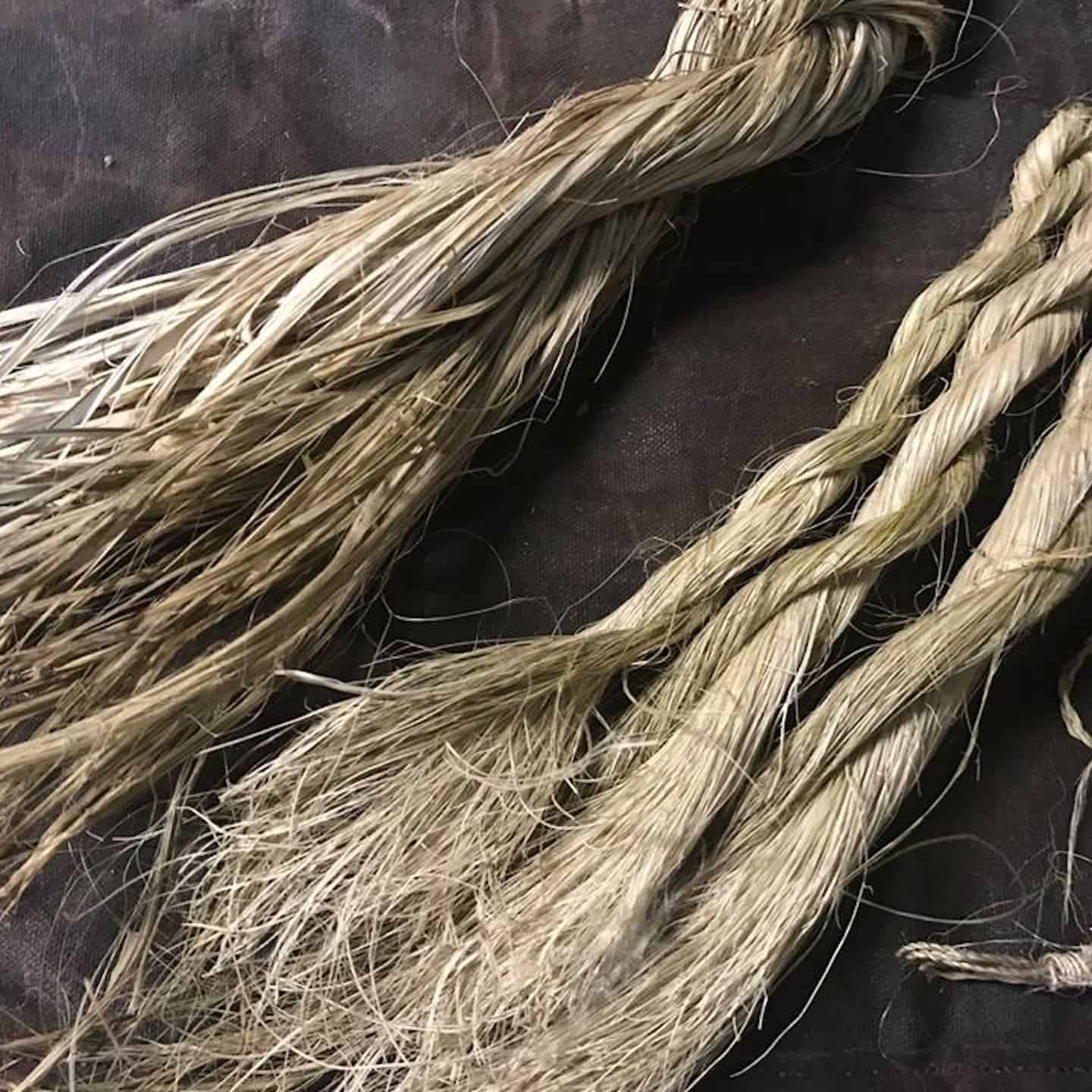 Primitive Survival Course - Gray Bearded Green Beret Survival School Retted Yucca Fiber for Natural Cordage