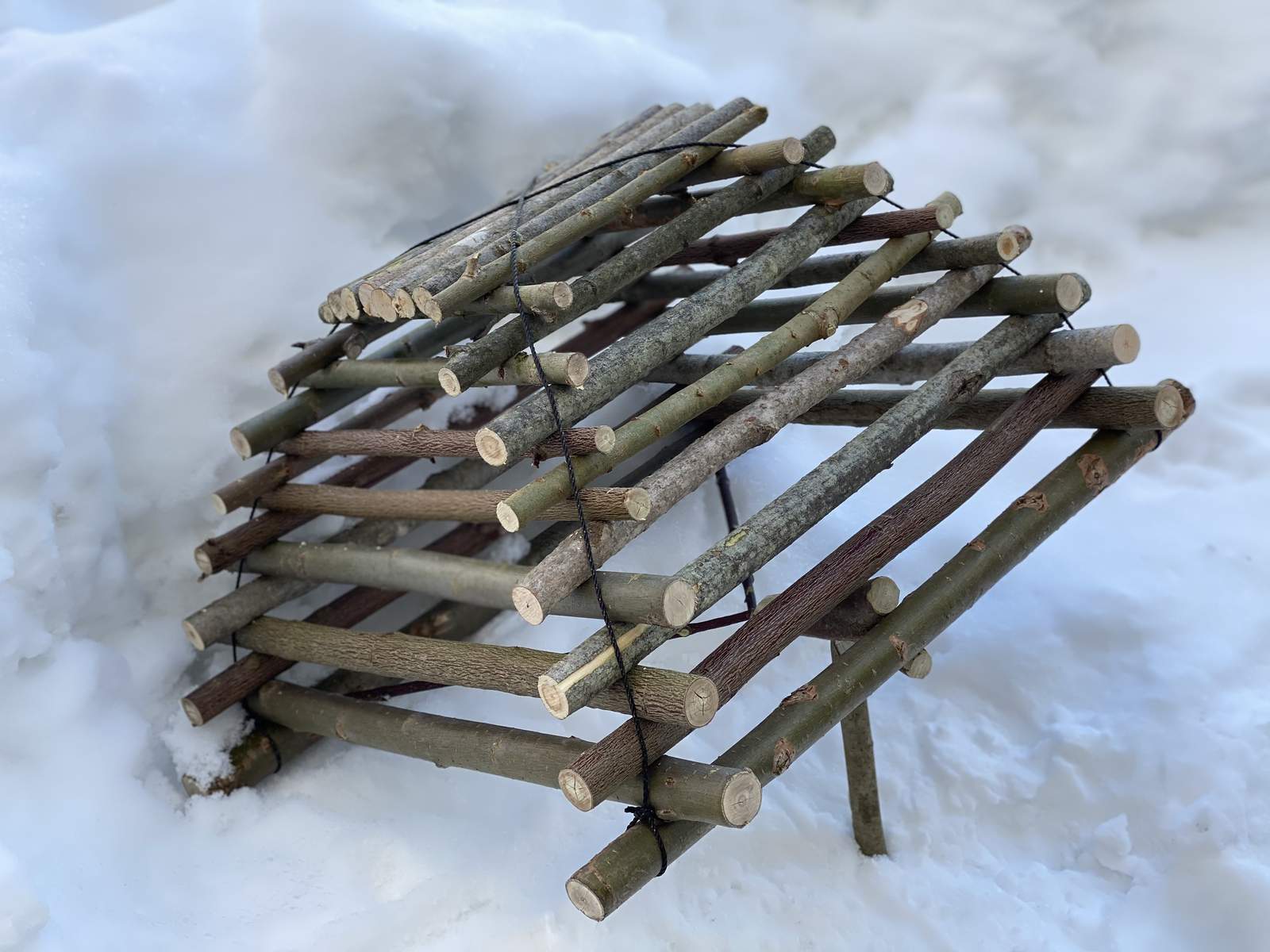 Primitive Trapping Course — Gray Bearded Green Beret Survival School Arapuca Bird Cage Trap Set in Snow