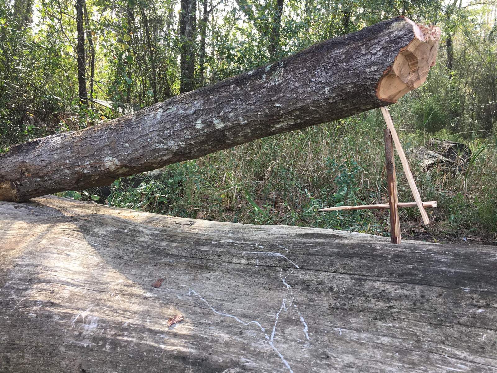 Primitive Trapping Course — Gray Bearded Green Beret Survival School Koolyomka Siberian Deadfall Trap Trigger Set