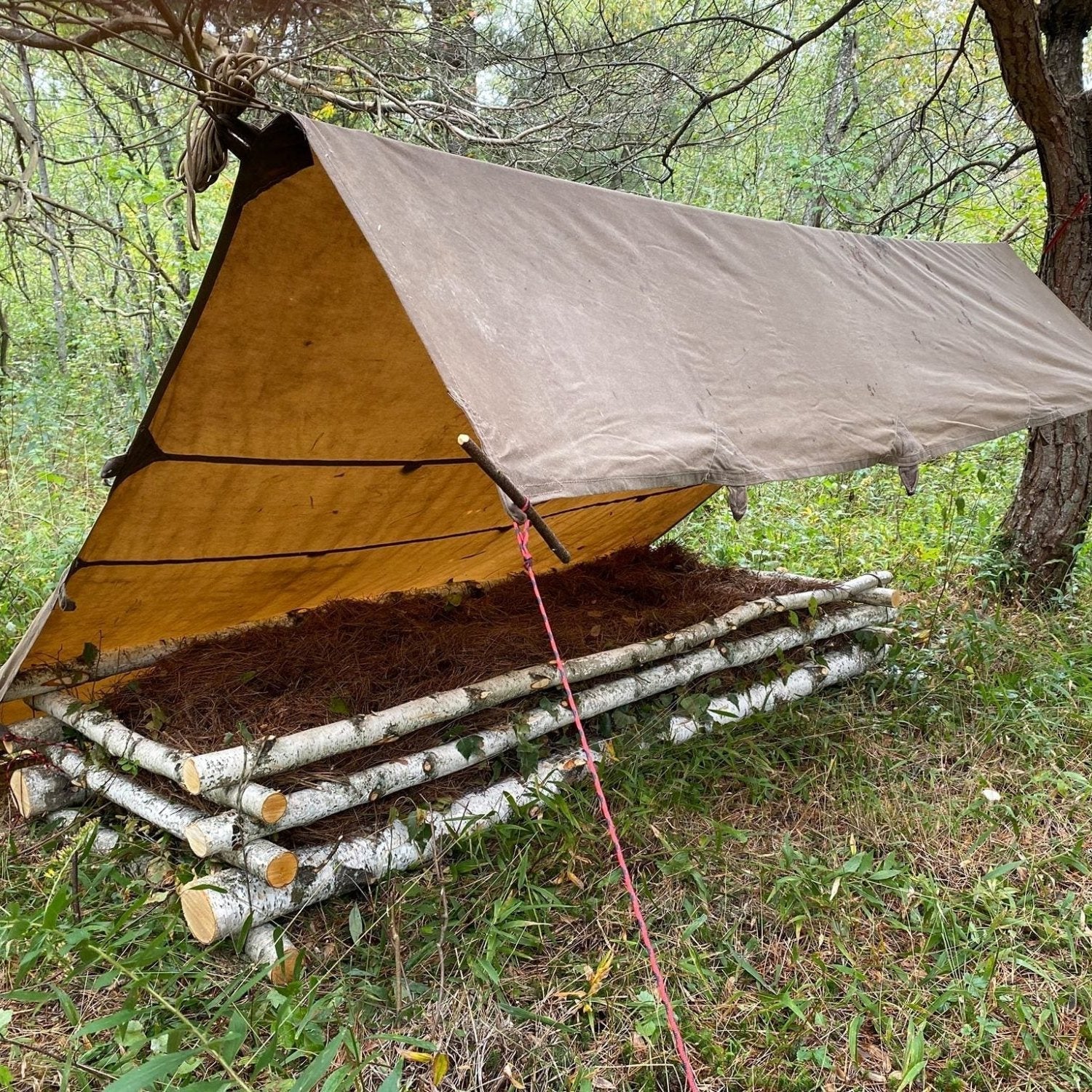 Wilderness Survival Course - Gray Bearded Green Beret Survival School - Tentsmiths Oilskin Tarp Wind Shed Lean-To Tarp Shelter with Log Cabin Leaf Crib Bed