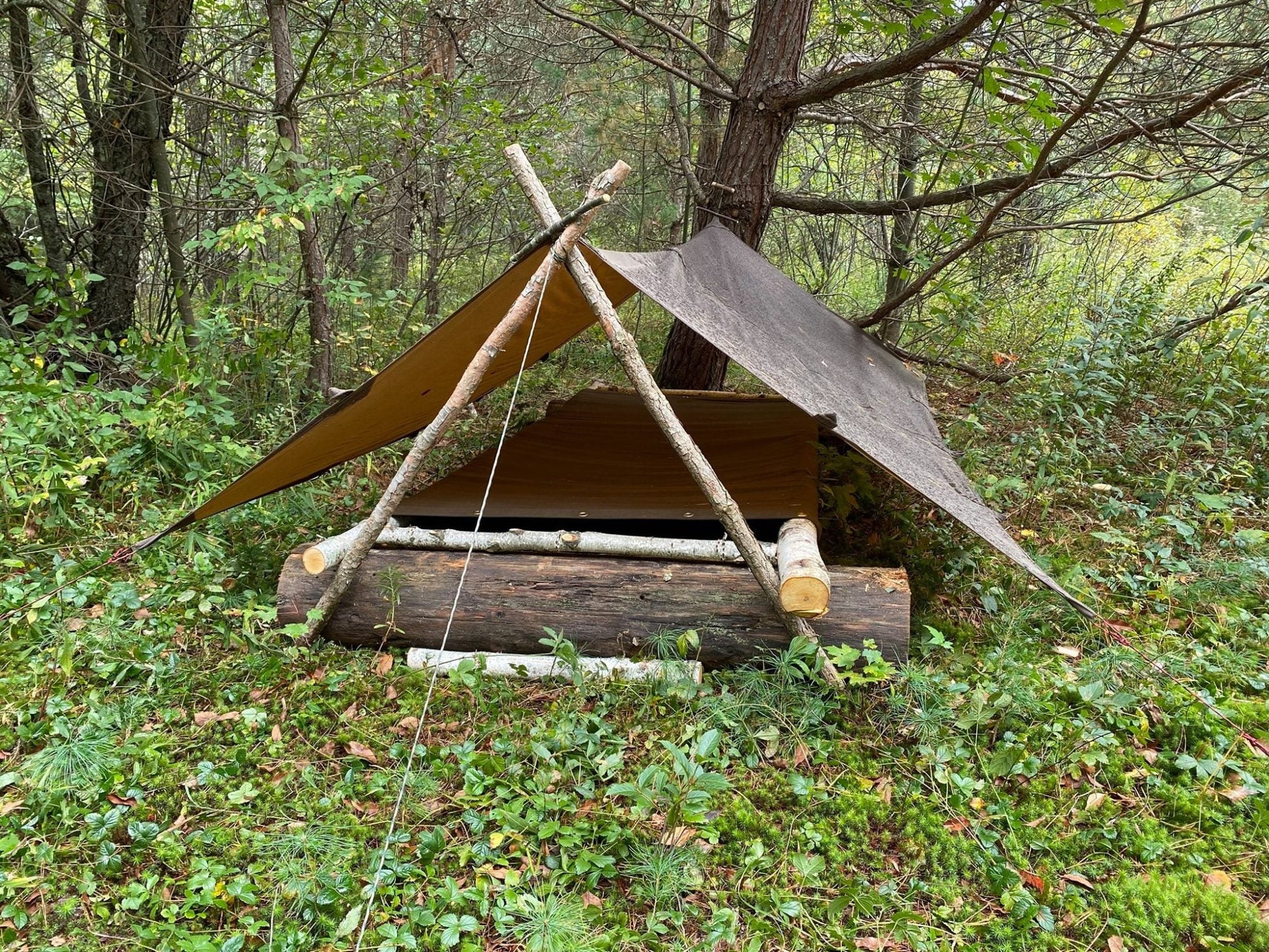 Tentsmiths Oilskin Tarp with Reinforced Center Loop A-Frame Tarp Shelter Over Raised Bed